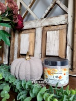 Dixie Belle CHALK Mineral Paint - Limited Edition- LATTE