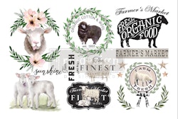 Re Design Décor Transfers® - Sweet Lamb - LITEN ca 30x46cm