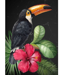 MINT - A1 Decoupagepapper (ca 59x84cm) - TOUCAN