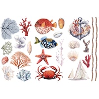 Re Design Décor Transfers® - Amazing Sea Life - LITEN ca 30x46cm