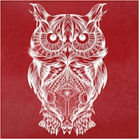 Screen Stencil - Schablon 20x22cm - Wise Owl
