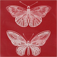 Screen Stencil - Schablon 20x22cm - Butterfly