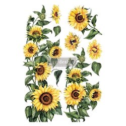 ReDesign Décor Transfers® - Sunflower ca 61x89cm