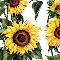 ReDesign Décor Transfers® - Sunflower ca 61x89cm