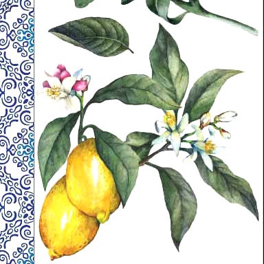 Re Design Decor Transfer - Transfermotiv - Lemon Tree