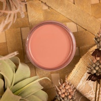 Dixie Belle SILK All-In-One DESERT ROSE