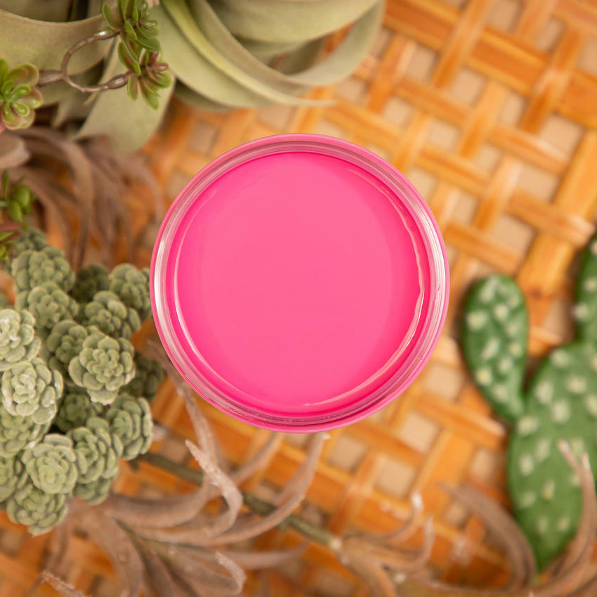 Dixie Belle SILK All-In-One Mineral Paint - PRICKLY PEAR