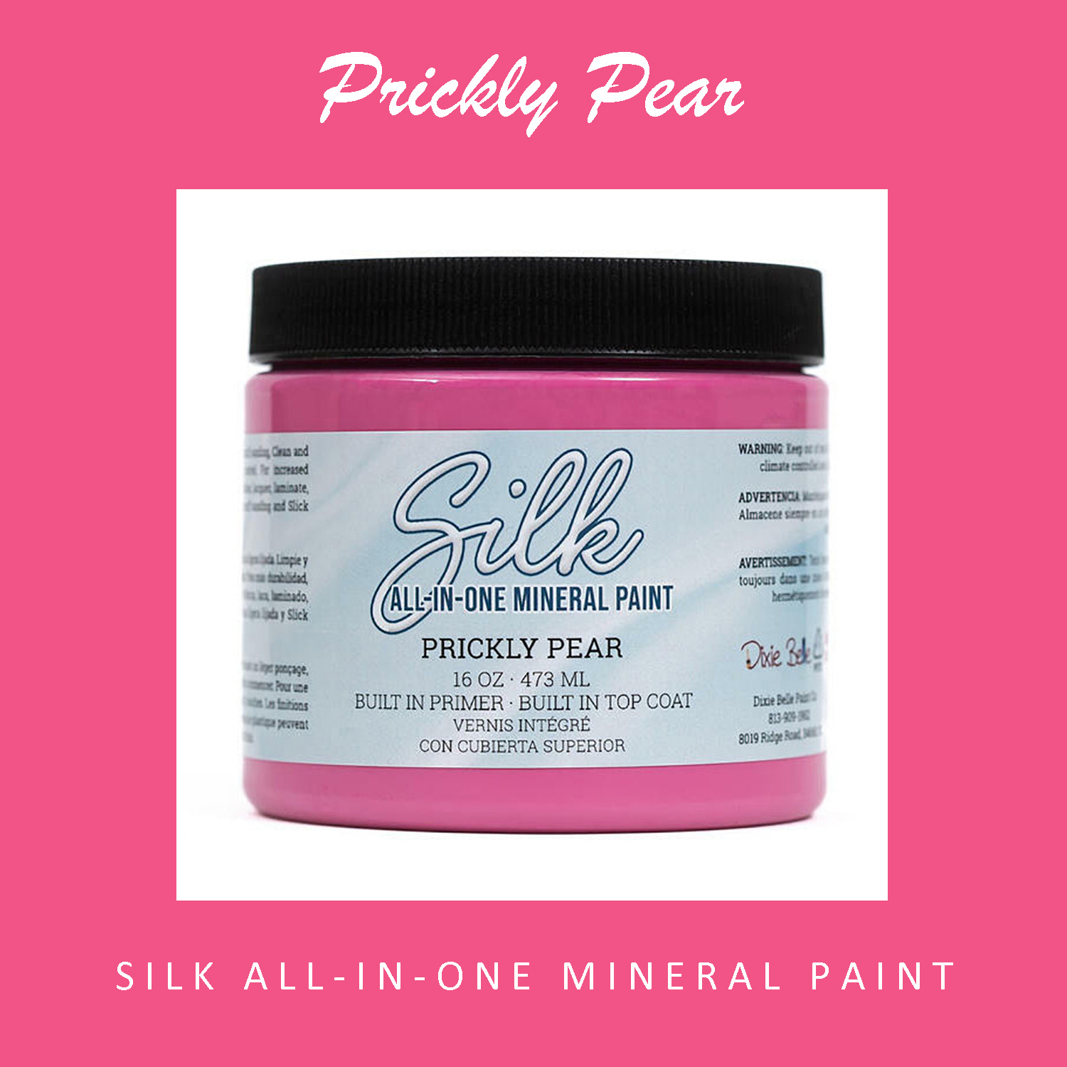 Dixie Belle SILK All-In-One Mineral Paint - PRICKLY PEAR