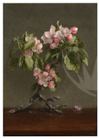 Posh Chalk® Apple Blossom Orchid - A1 Deluxe Decoupage Paper
