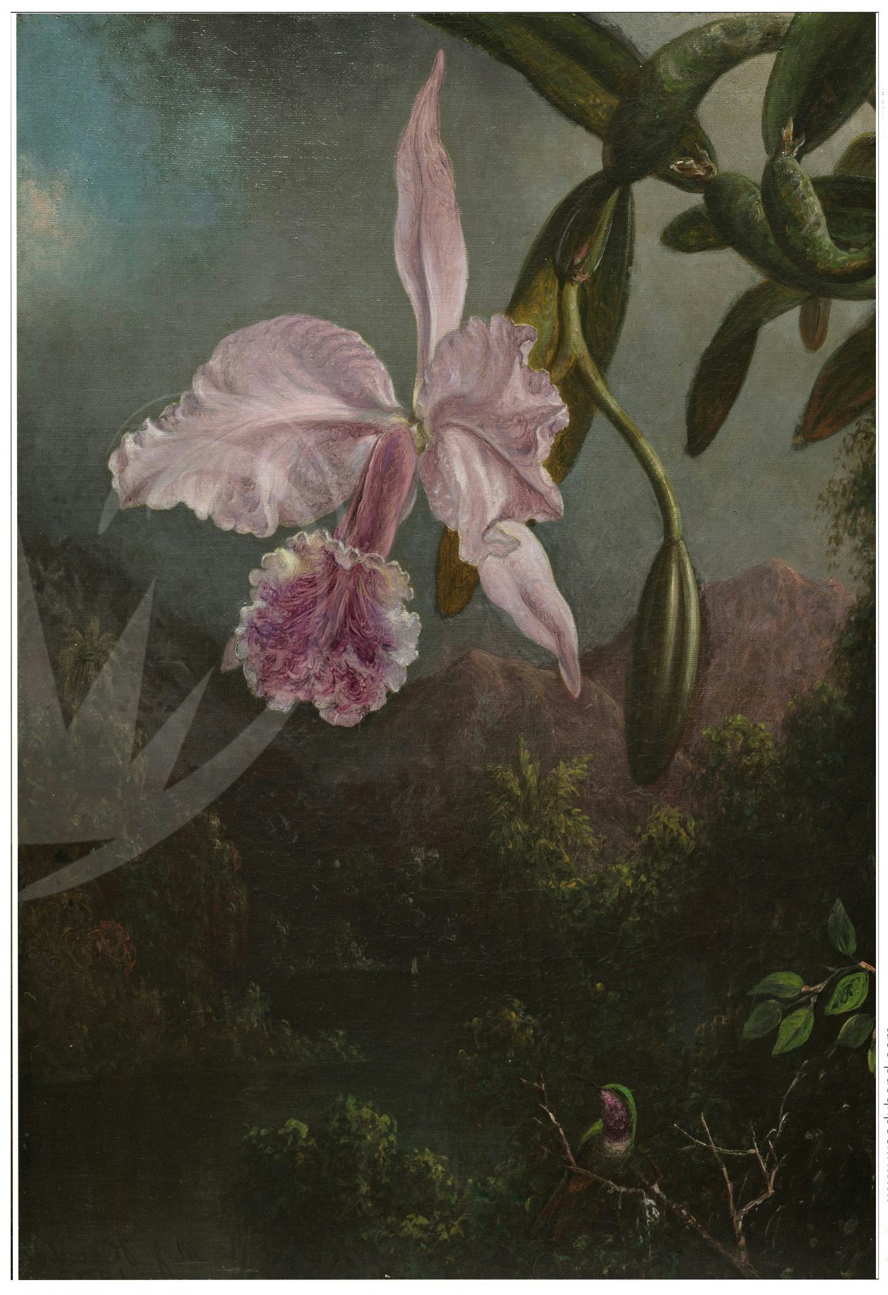 Decoupagepapper - Posh Chalk Deluxe Decoupage Paper - Apple Blossom Orchid