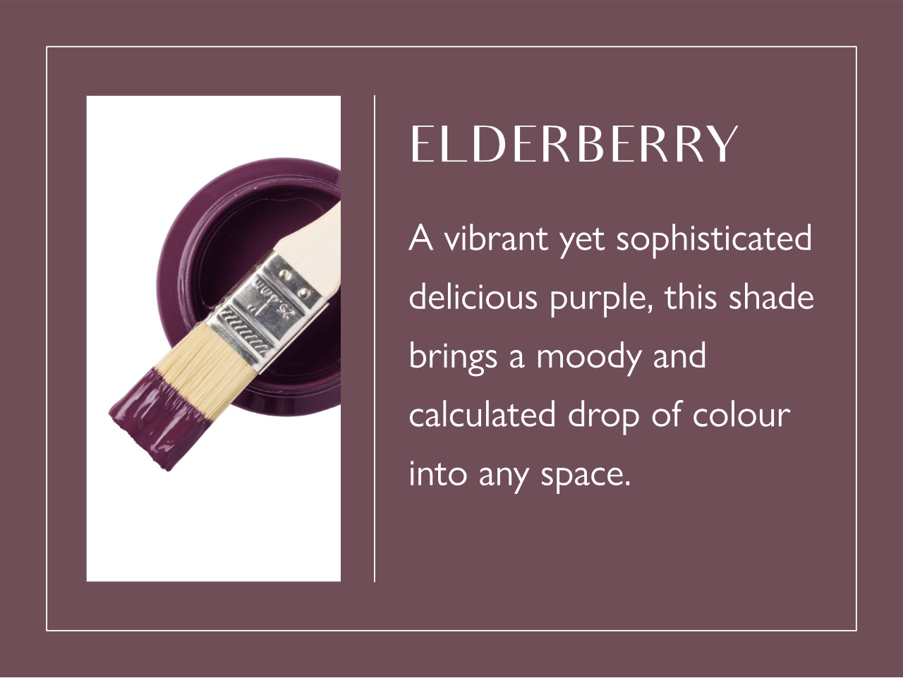 FUSION Mineral Paint - Elderberry
