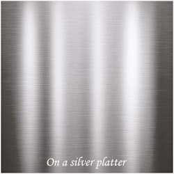 PP Metallic Paint - Metallfärg - "On a Silver Platter"