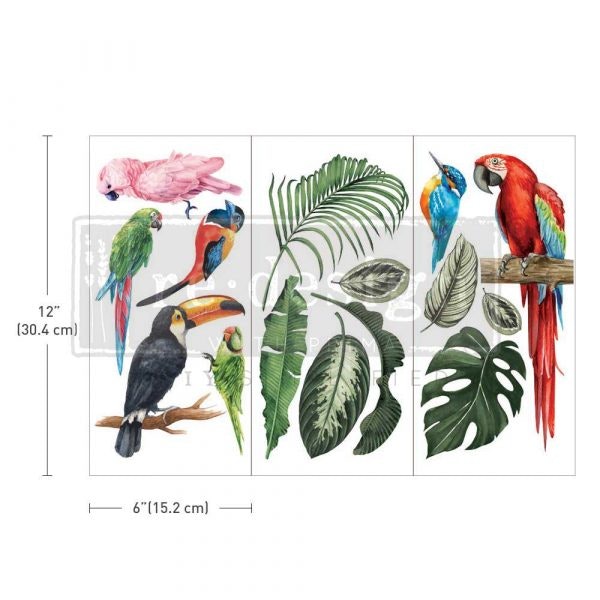 Transfermotiv - Re Design Décor Transfer - Tropical Birds