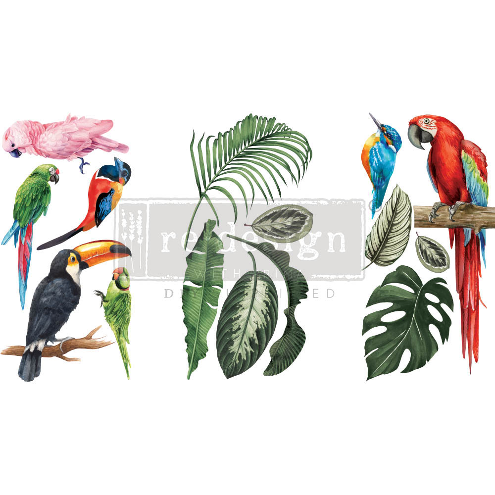 Transfermotiv - Re Design Décor Transfer - Tropical Birds