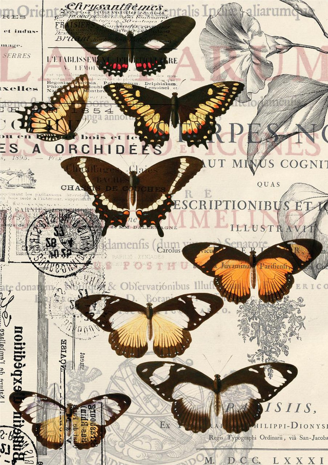 DECOUPAGEPAPPER - Dixie Belle - Rice Papers - Vintage Butterflies