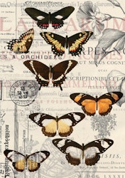 Belles and Whistles Rice Papers - Vintage Butterflies - A1 ca 59x84cm