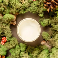 Dixie Belle CHALK Mineral Paint - Cucumber Ice