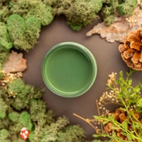 Dixie Belle CHALK Mineral Paint - English Ivy