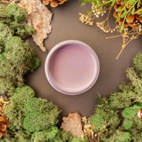 Dixie Belle CHALK Mineral Paint - Secret Path