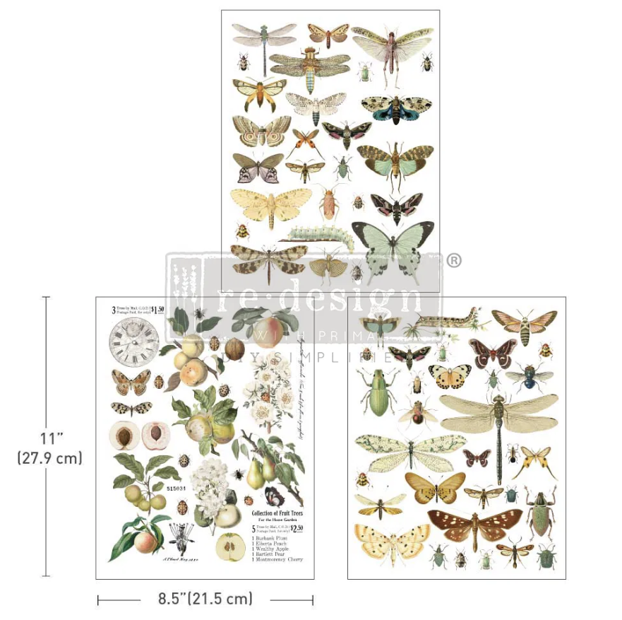 TRANSFERMOTIV - Re Design Décor Transfer -  Bug Whisperer - A4 (3-pack)