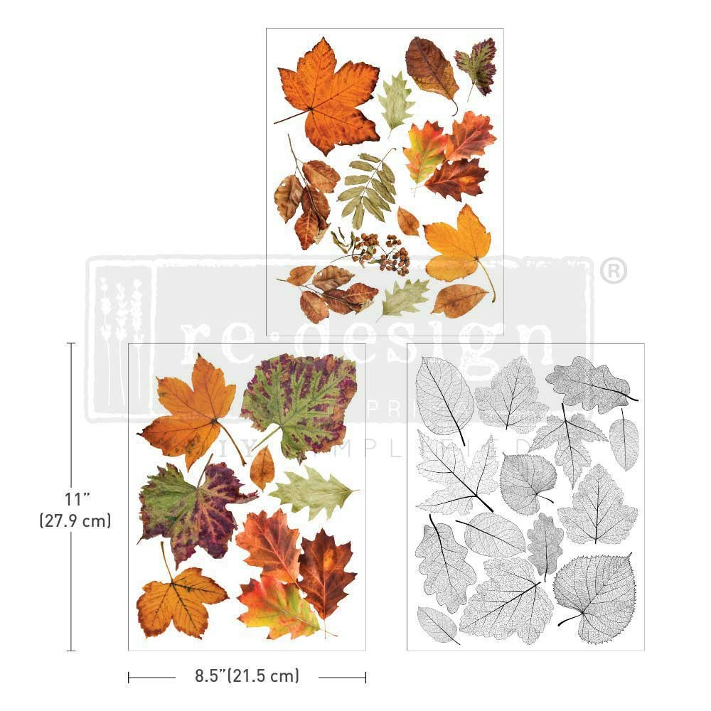 TRANSFERMOTIV - Re Design Décor Transfers- Crunchy Leaves Forever - A4 (3-pack)