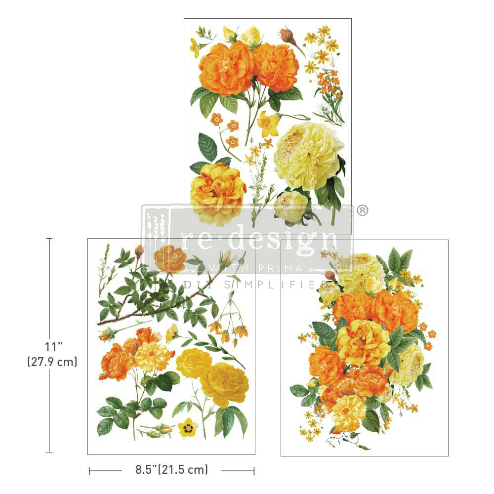 TRANSFERMOTIV - Re Design Décor Transfer - My Honey (3-pack)
