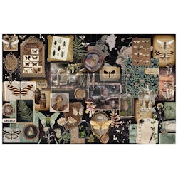 Re Design Tissue Paper - Herbarium Notes 48x76cm