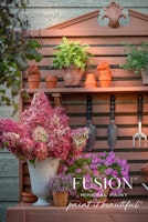 FUSION™ Mineral Paint - Iron Clay