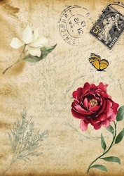 Belles and Whistles Rice Papers - Old Post Card - A3 ca 28x42cm