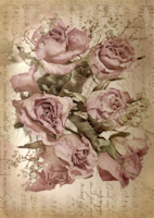 Belles and Whistles Rice Papers - Sepia Rose Song - A1 ca 59x84cm
