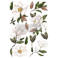 Re Design Décor Transfers® - Magnolia Grandiflora ca 61x89cm