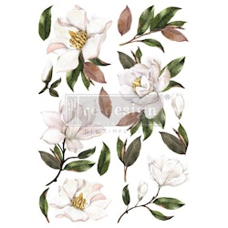 Re Design Décor Transfers® - Magnolia Grandiflora ca 61x89cm
