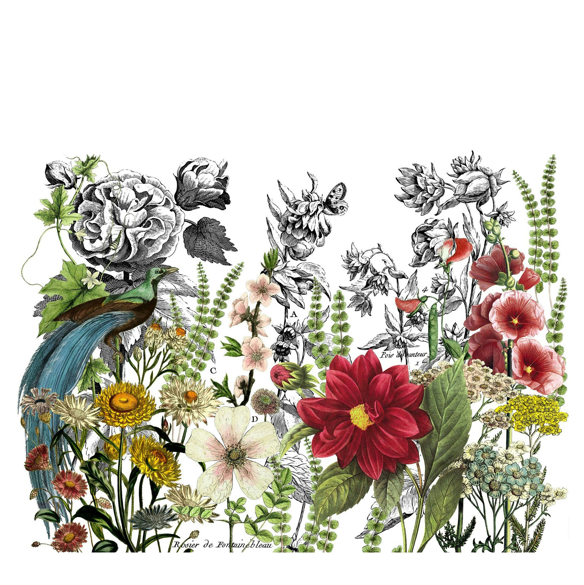 IOD Decor Transfer - Midnight Garden ca 61x84cm