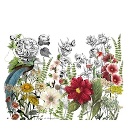 IOD Decor Transfer - Midnight Garden ca 61x84cm