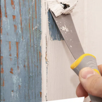 Polyvine Varnish & Paint Remover - Färgborttagning 1L