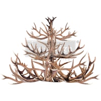 Re Design Décor Transfers® - Antler Chandelier ca 61x89cm