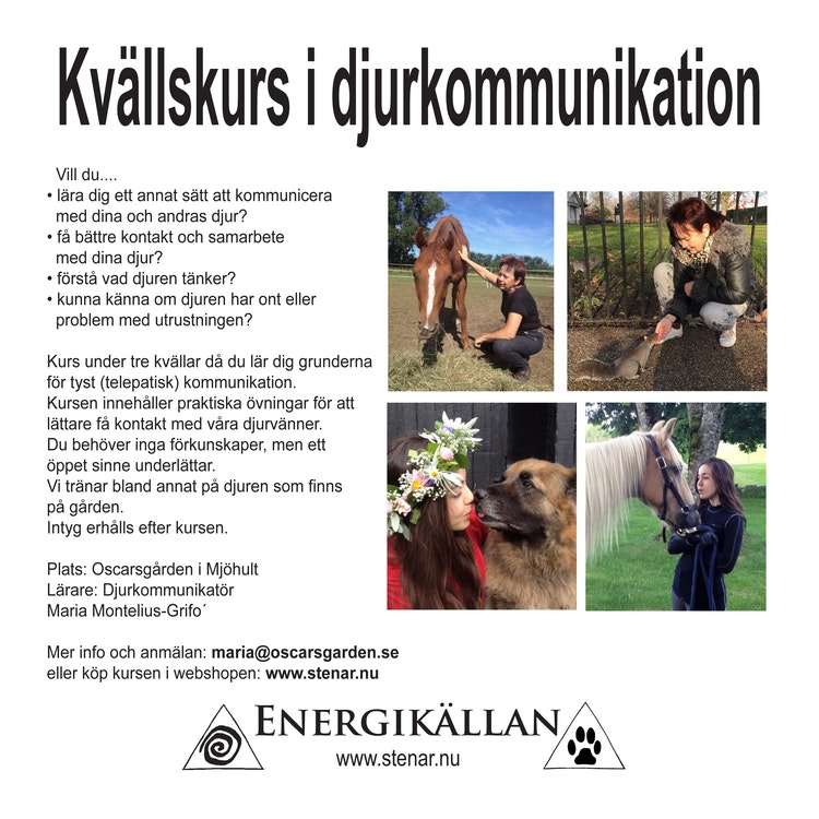 Djurkommunikation Kvällskurs 3 kvällar 18/11, 19/11, 25/11