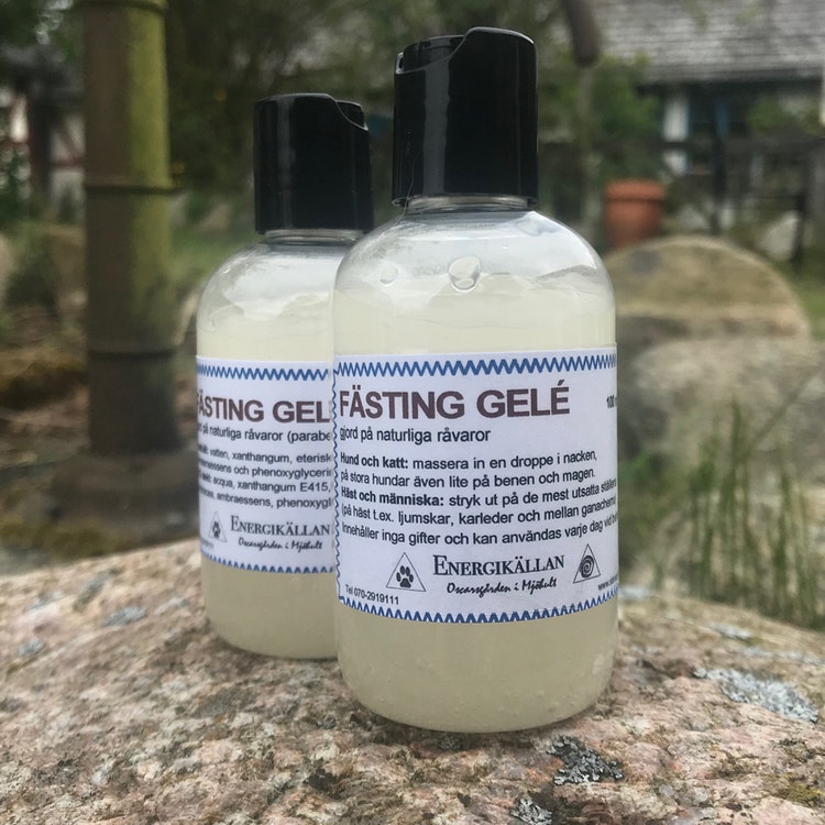 Fästing gelé