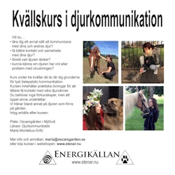 Djurkommunikation Kvällskurs 3 kvällar (datum ej bokat)