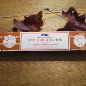 Yogic Meditation