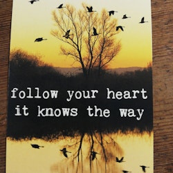 Vykort, follow your heart