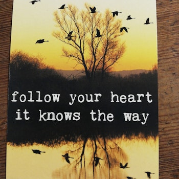 Vykort, follow your heart