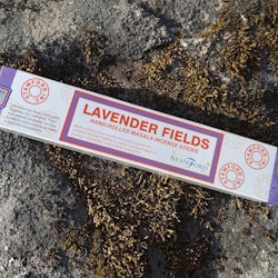 Lavendel Fields, Stamford
