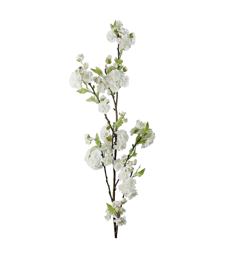 Körsbärskvist Vit 120cm