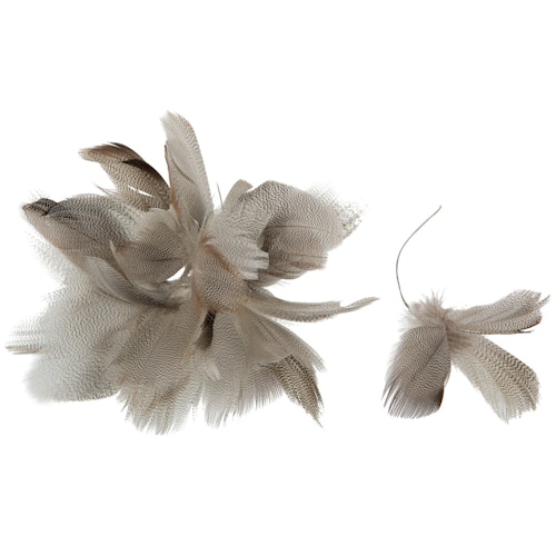 Fjäder blomma/vippa natur