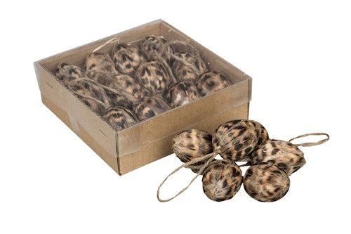 Ägg fjäder rand 12-pack