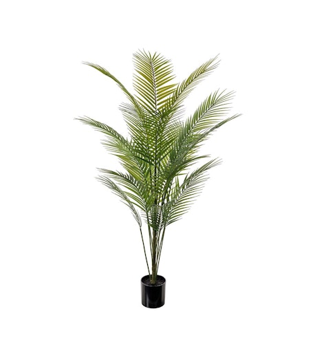 Bergspalm 180 cm  2-pack