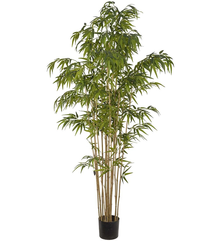 Bambu 210 cm 2-pack