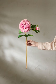 Pion Rosa - Real Touch