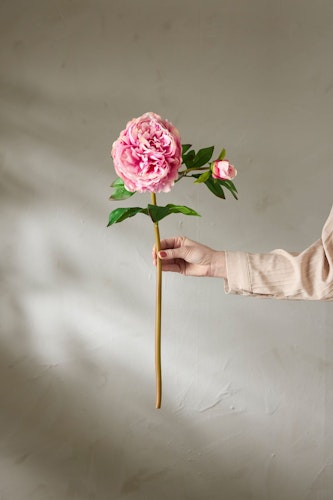 Pion Rosa - Real Touch